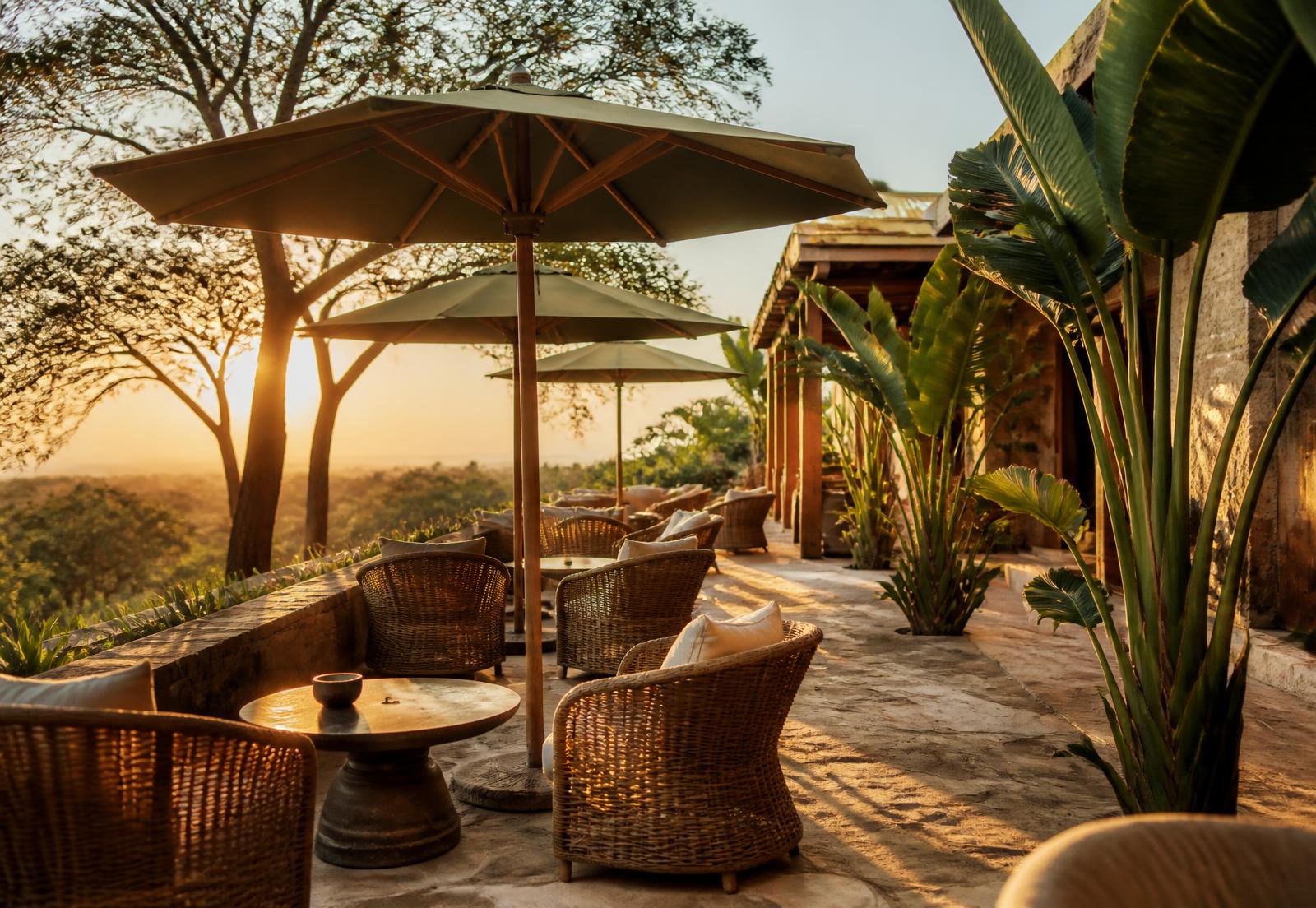 Outdoor terrace with rattan chairs, olive umbrellas and banana palms at sunrise